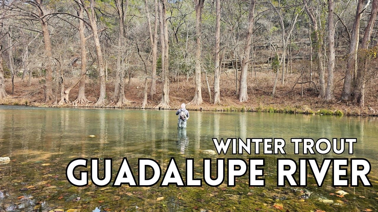 Winter Trout on the Guadalupe River (Fly Fishing with Dad)