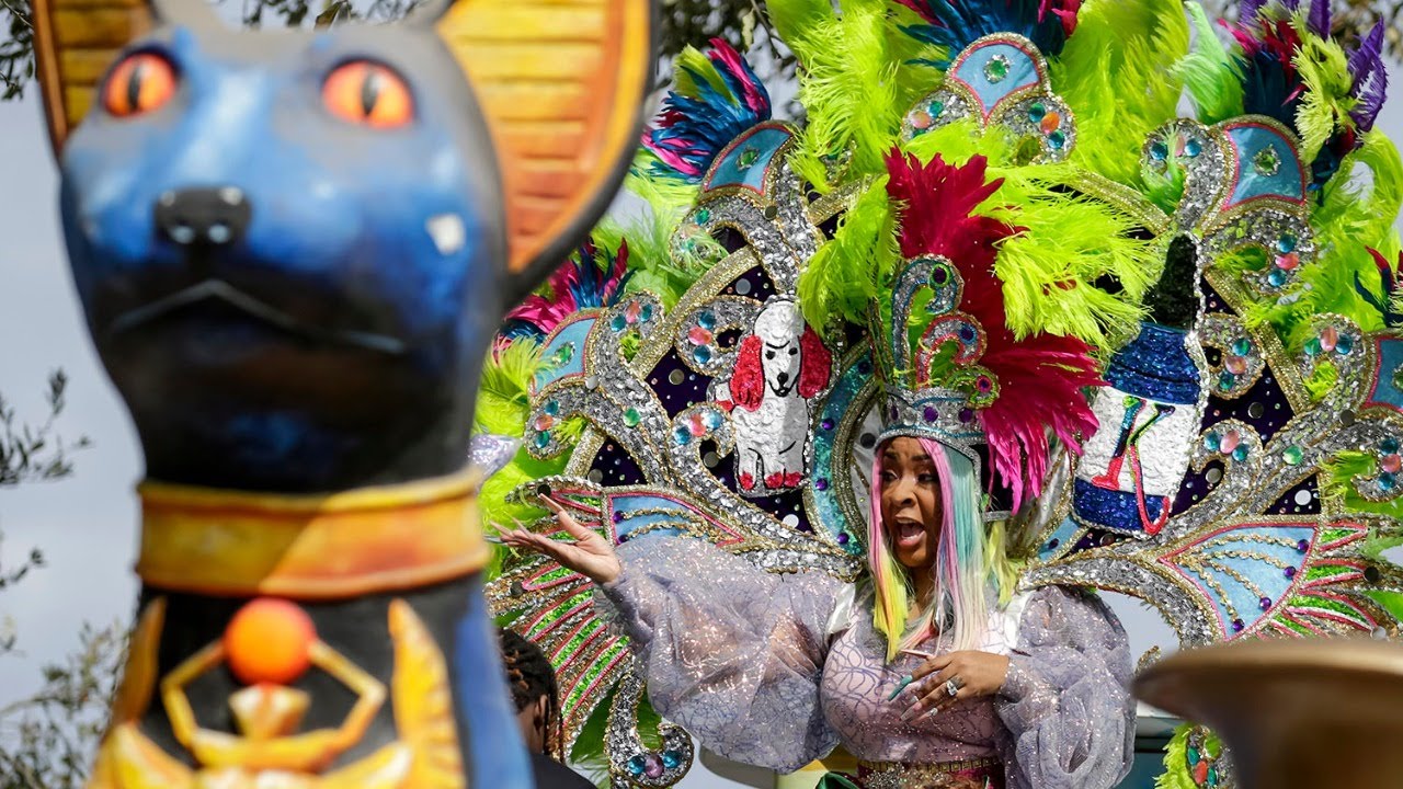 Krewe of Bacchus