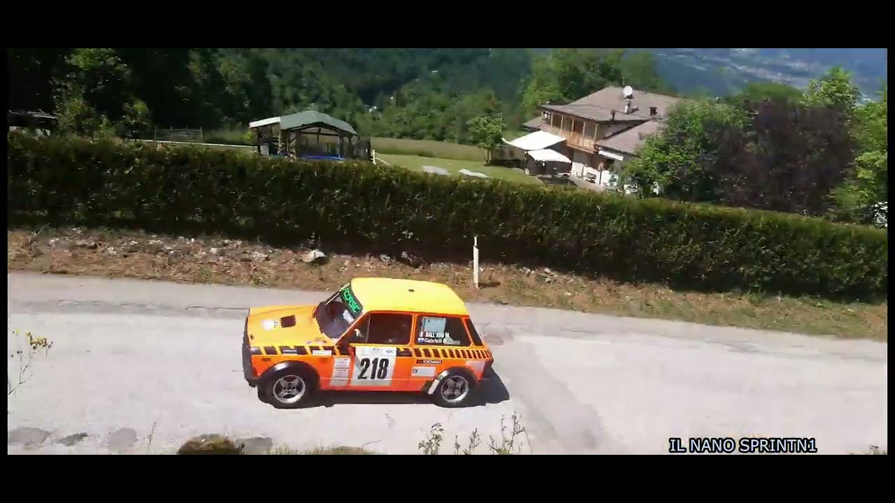 13° Valsugana Historic Rally 2025 CAR VS ALCE, CRASH, MISTAKE & MAX ATTACK [FULL HD]