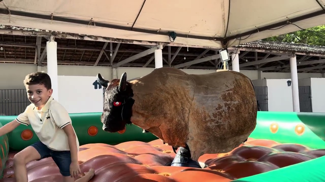Dom no toro mecânico - exposição de animais 2025 