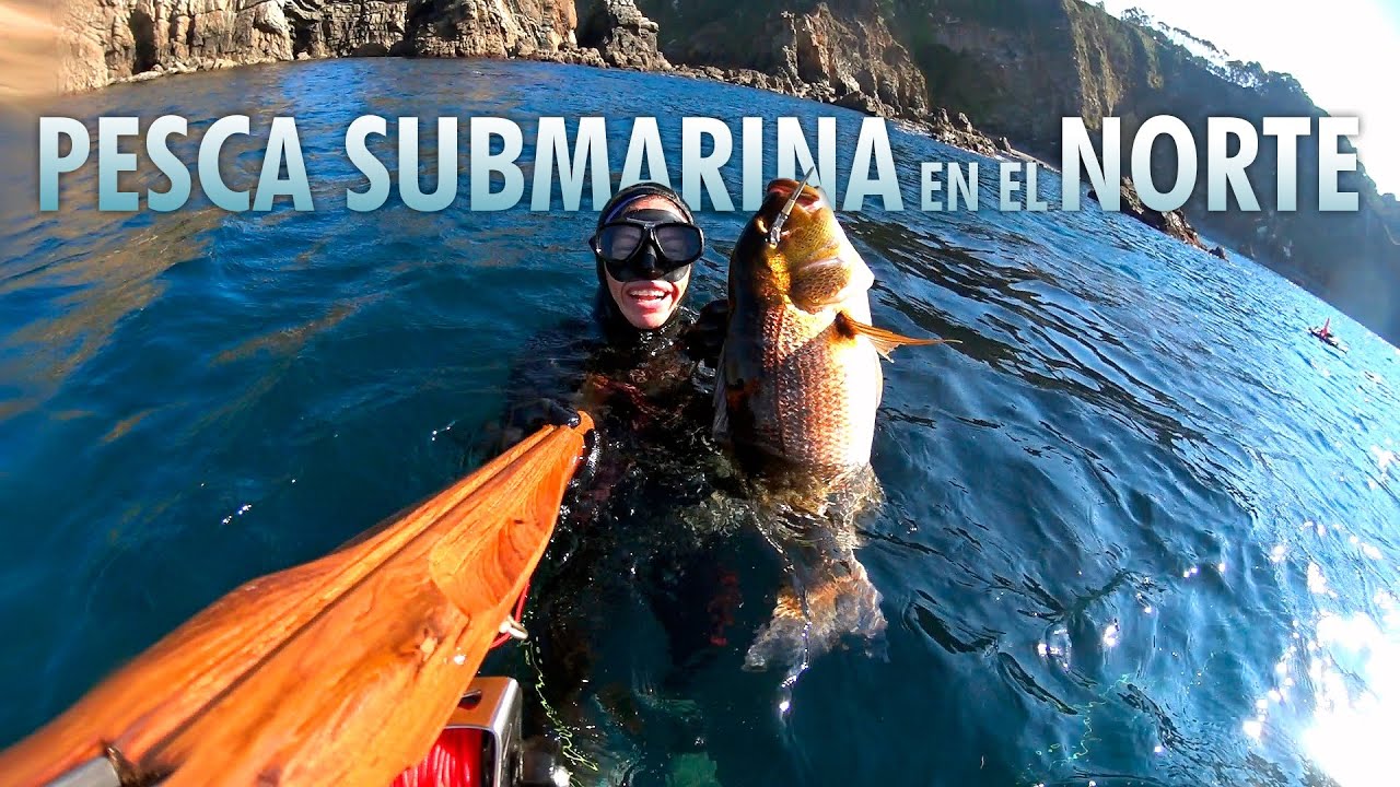 Pesca submarina en el norte.