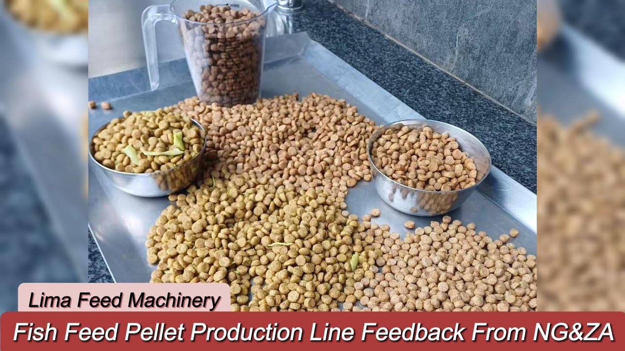 Fish Feed Pellet Production Line Feedback From Nigeria and South Africa 