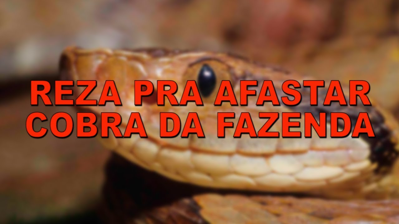 REZA PRA AFASTAR COBRA DA FAZENDA