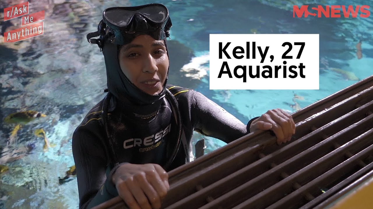 Ask Me Anything With An Aquarist From S.E.A. Aquarium