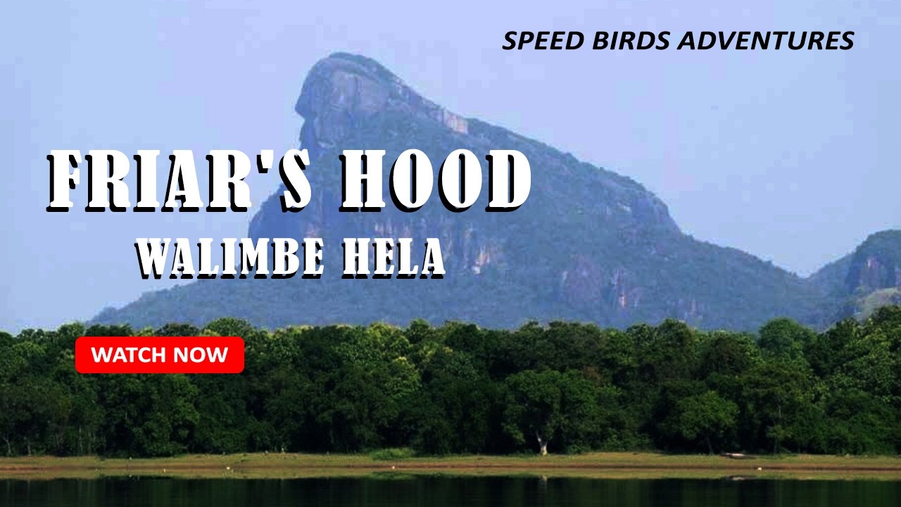 Friar&rsquo;s Hood Peak | Walimbe Hela Mountain Sri Lanka | Sunrise from the Peak #speedbirdsadventures