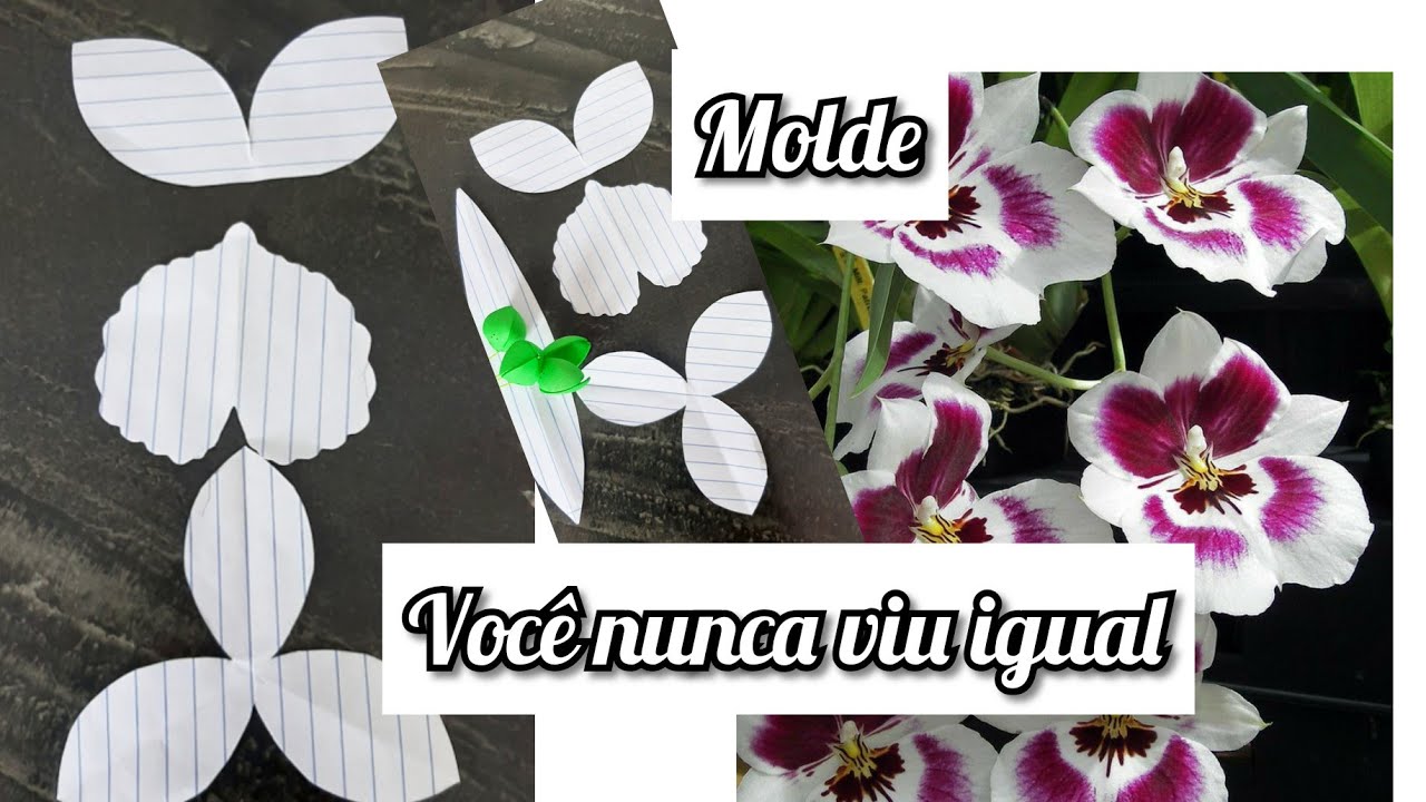 como fazer o molde da orquídea Miltonia, 