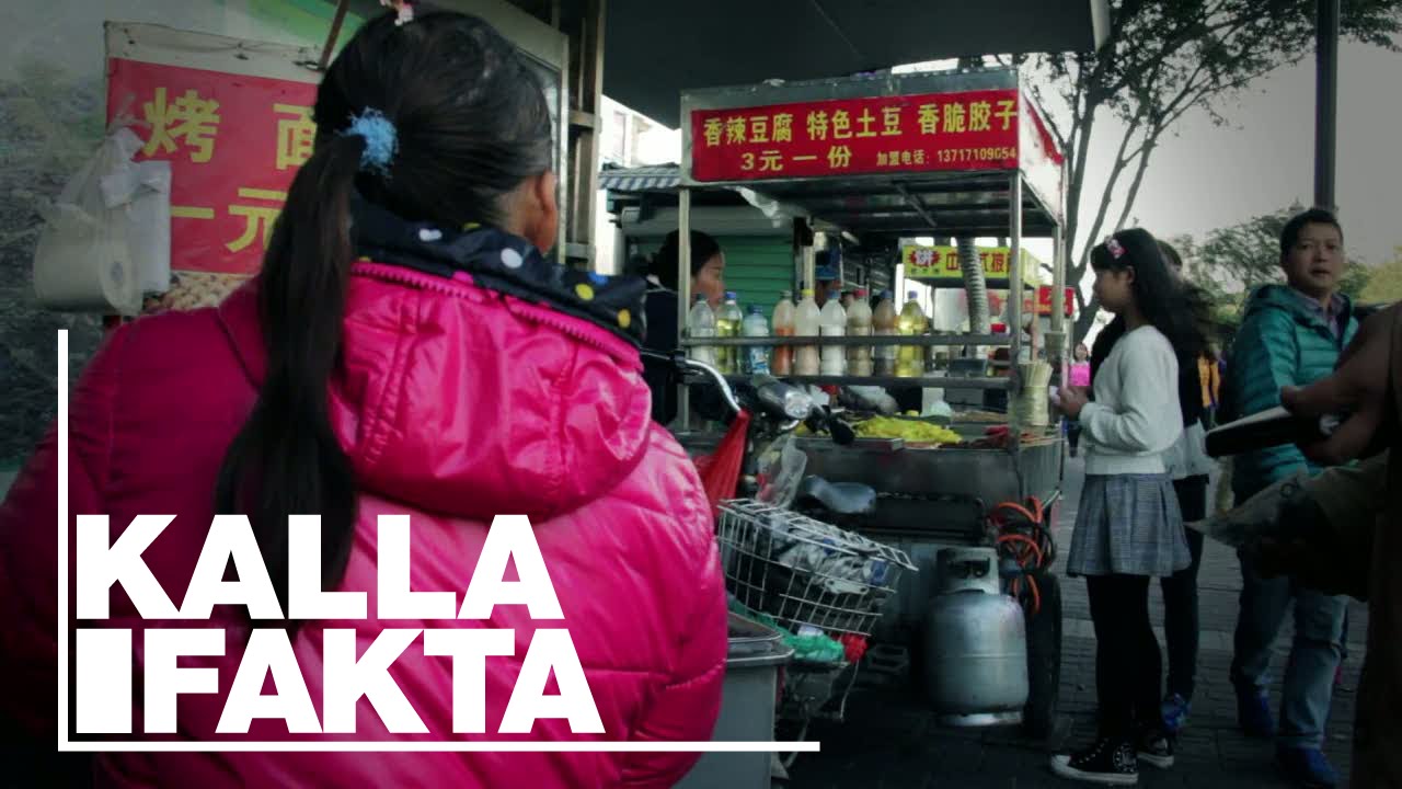 Kalla Fakta: Bakom fabriksgrindarna (Behind the Factory Gates | With English subtitles) - TV4