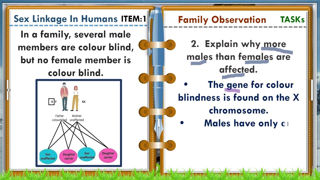 Inheritance-6-Sex Linkage