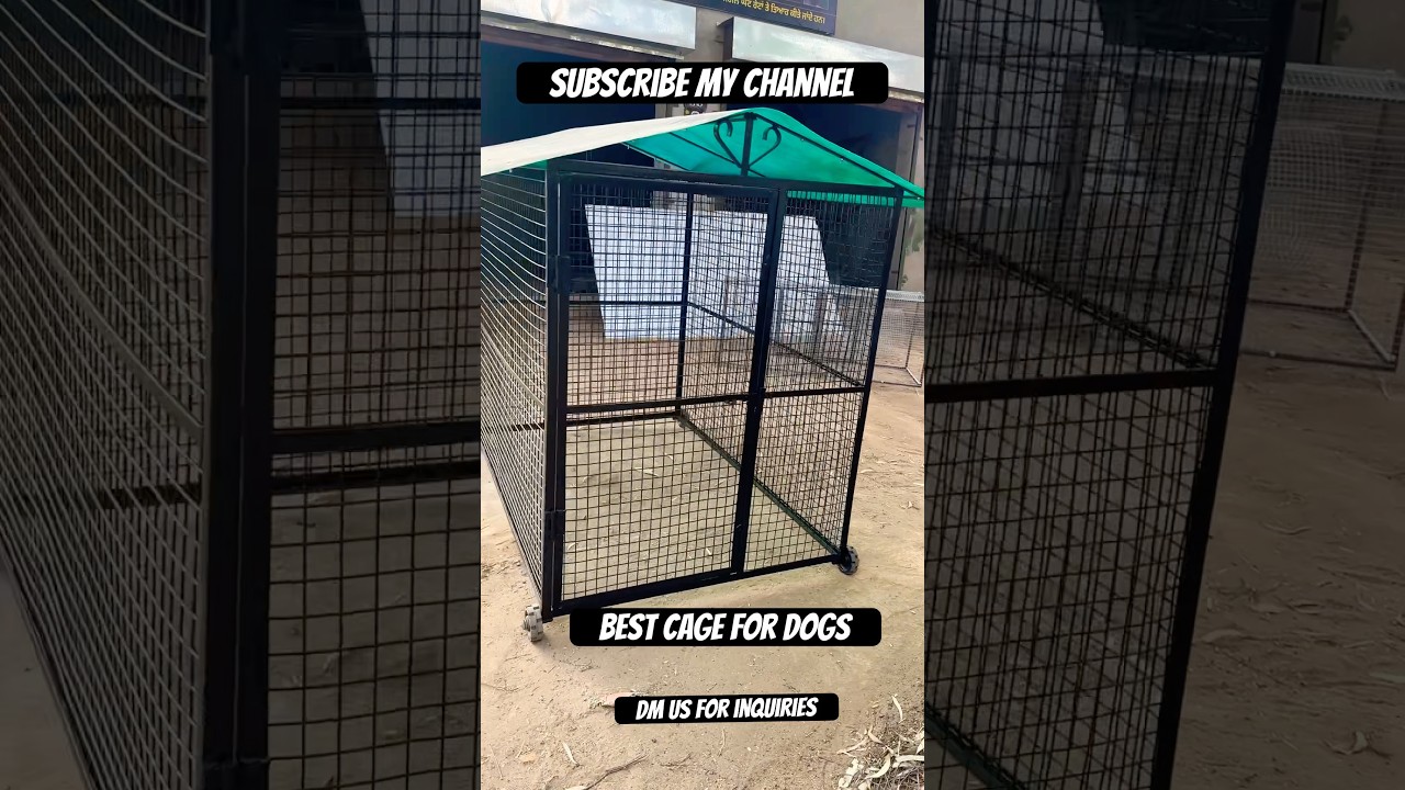 Best Cage For dogs 🐕 #cage #dogcage