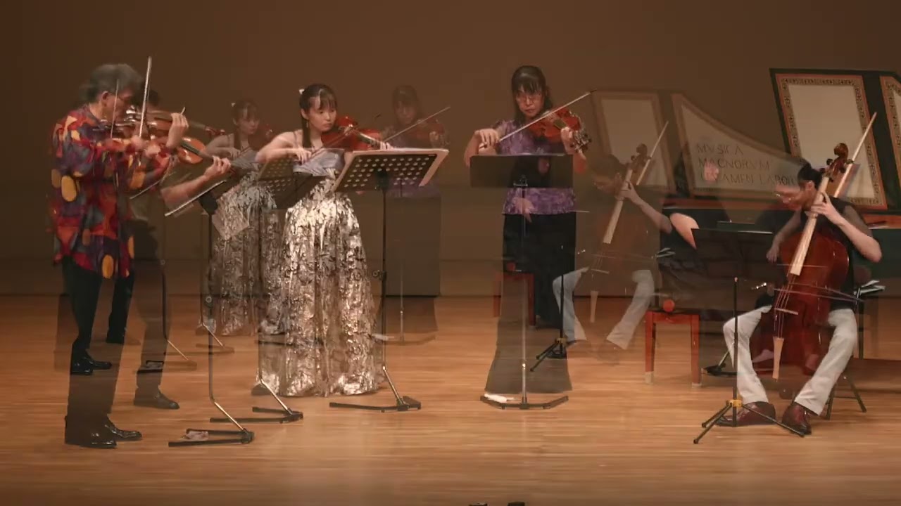 Vivaldi: Violin Concerto in G minor, RV 315 