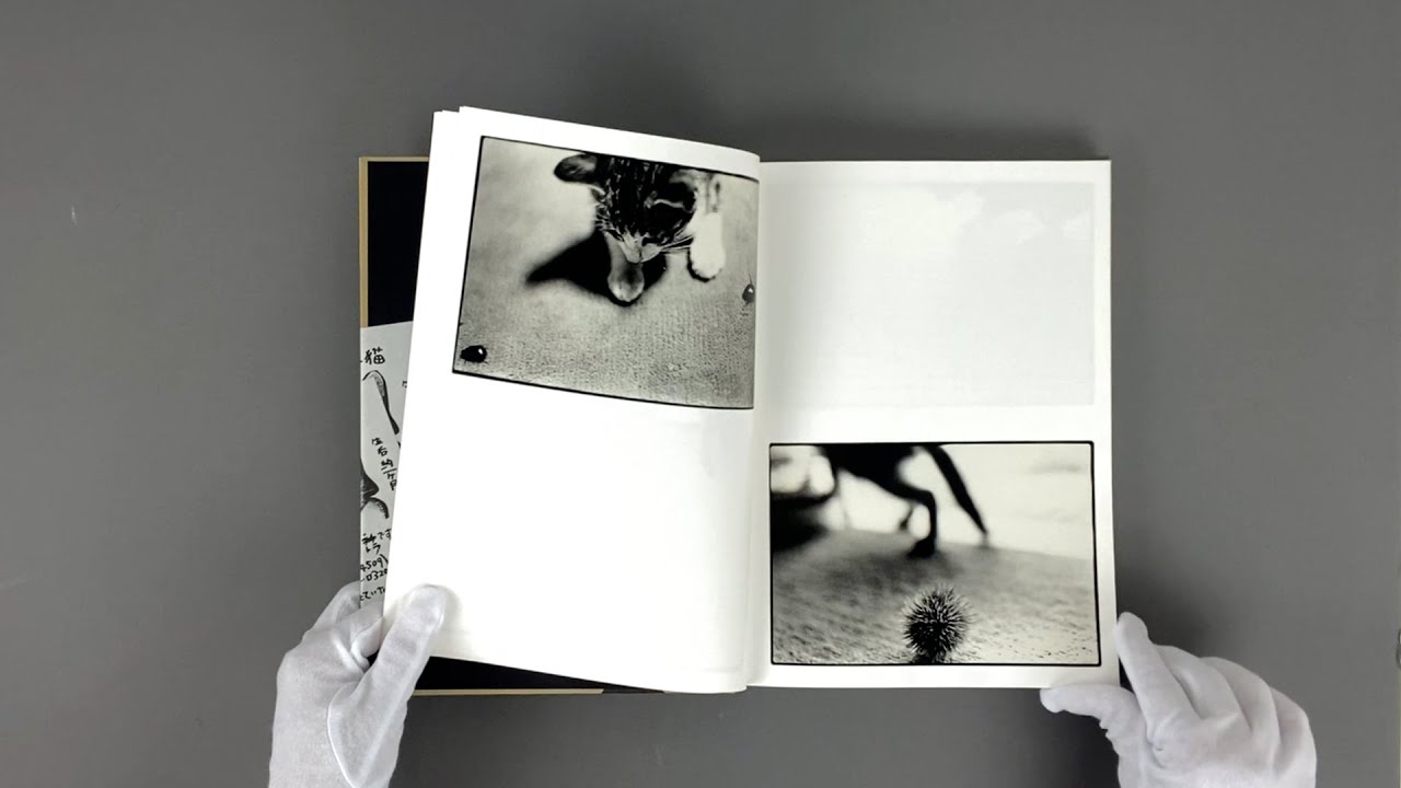 Masahisa FUKASE 