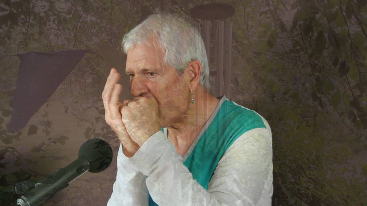 Une nuit dans le jardin d'Eden (Harmonica klezmer) A Night In The Garden Of Eden