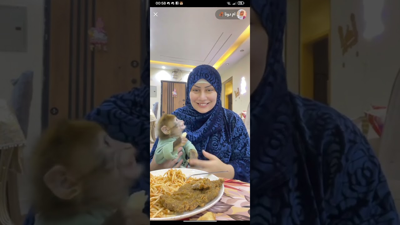لايف مضحك مع ام دونا وهي بتتسحر و  القردة شاكيرا 