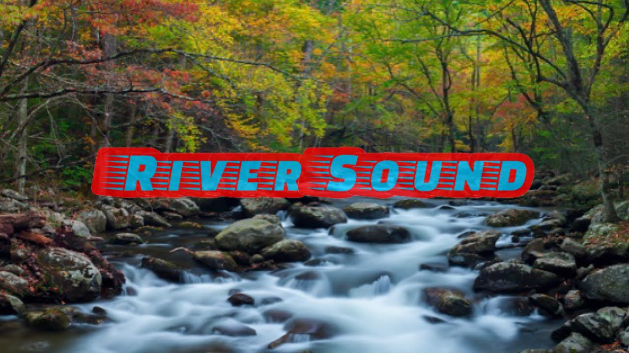 Relaxing River Sound| ASMR