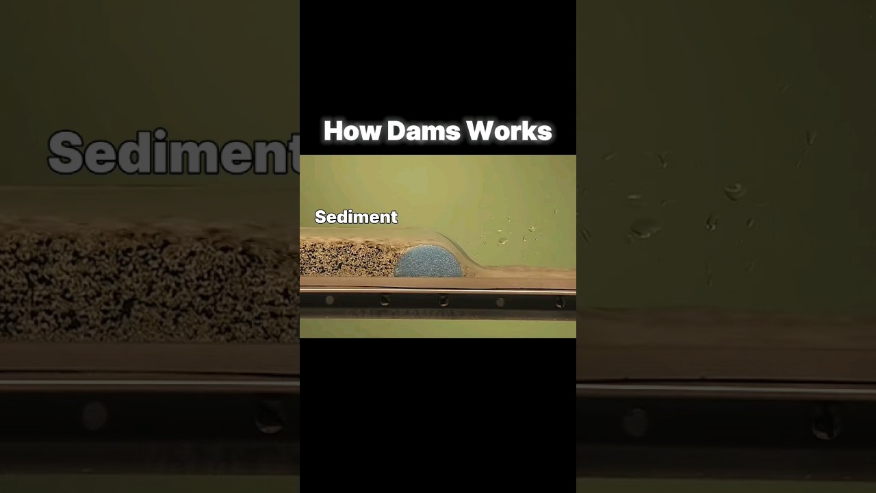 how dam works