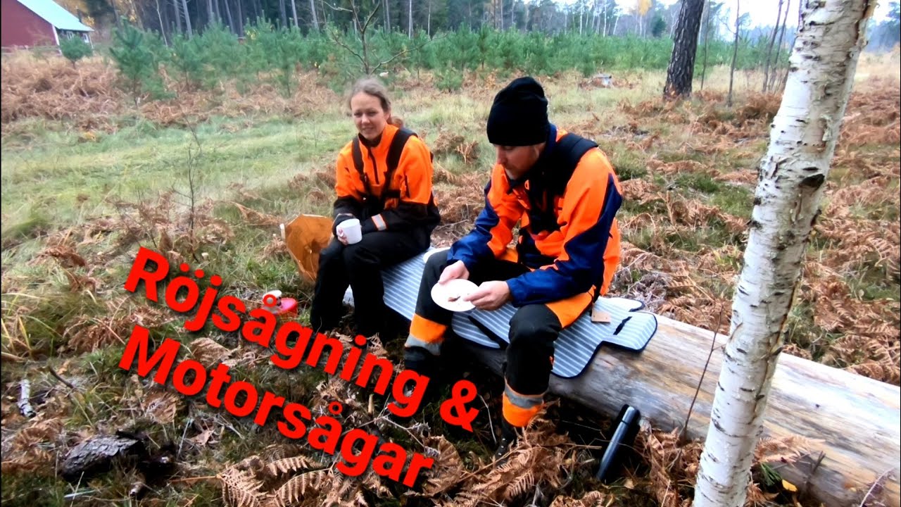 Motorsågar och slyröjning!