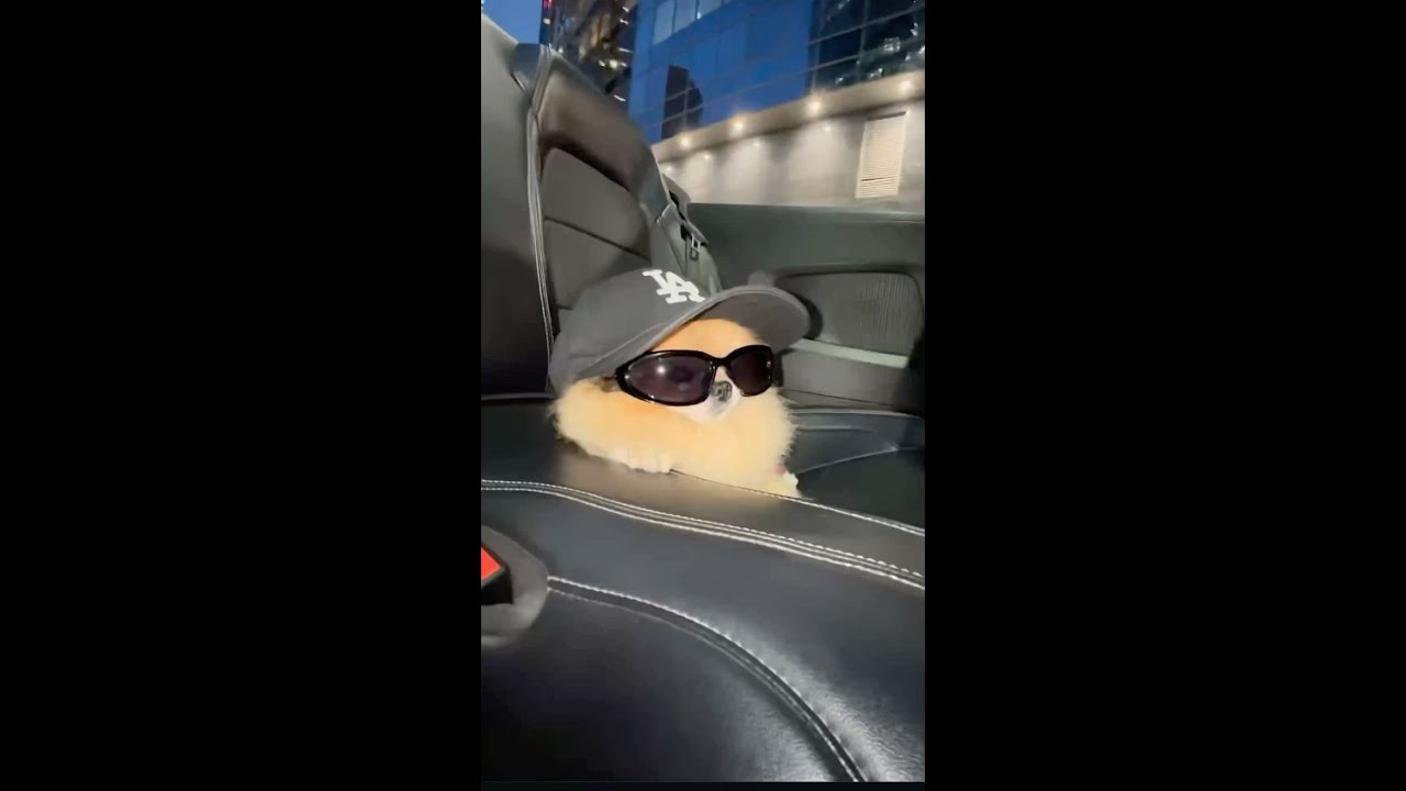 Тестовый стрим с кк бетой