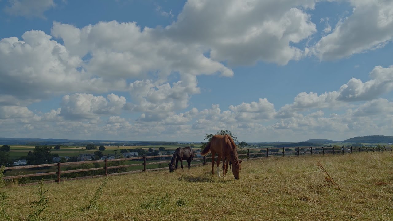 Test footage BMPCC 4K with Meike 12mm