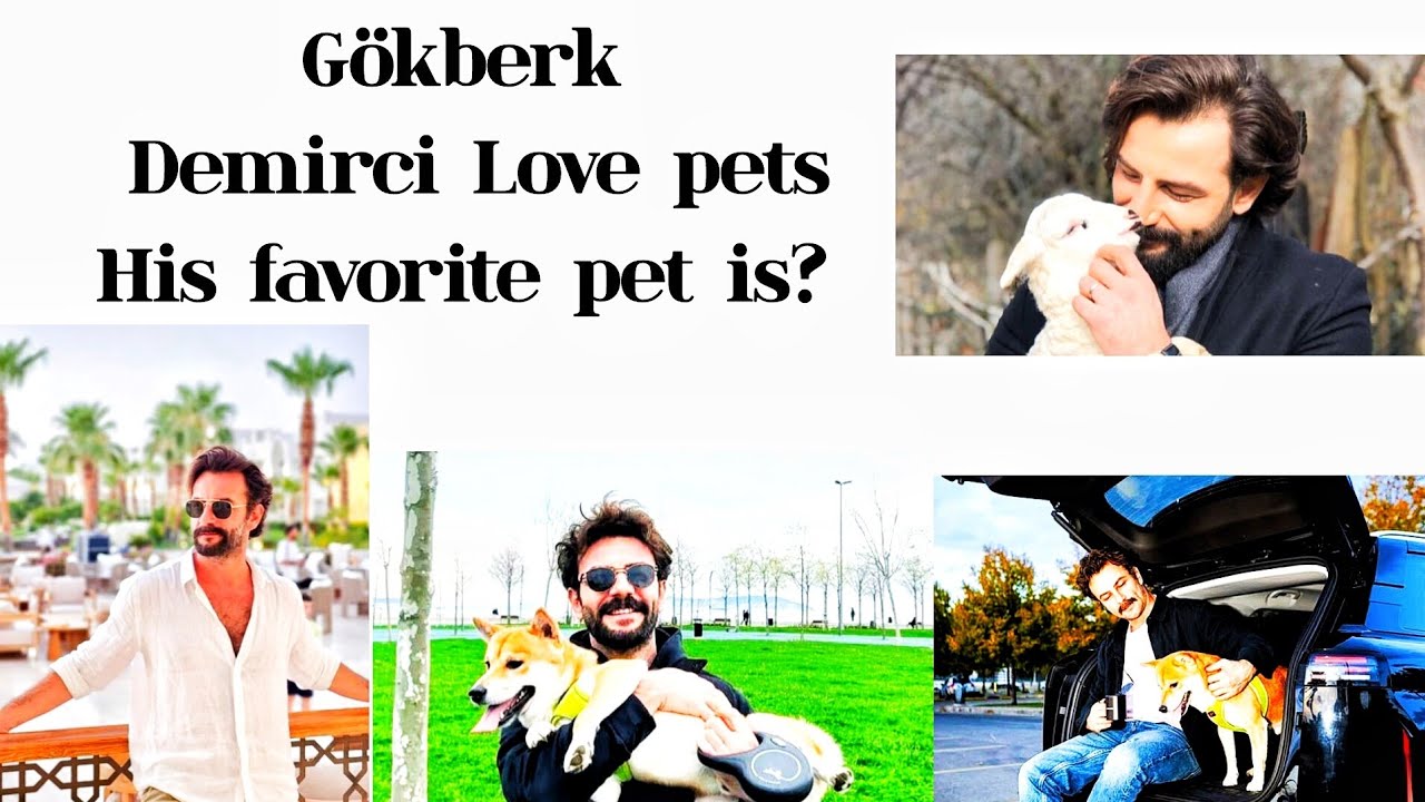 Why Gökberk demirci love pets#turkishactor #yeminseries#promise #türkiye#gokberkdemirci #love #pets 
