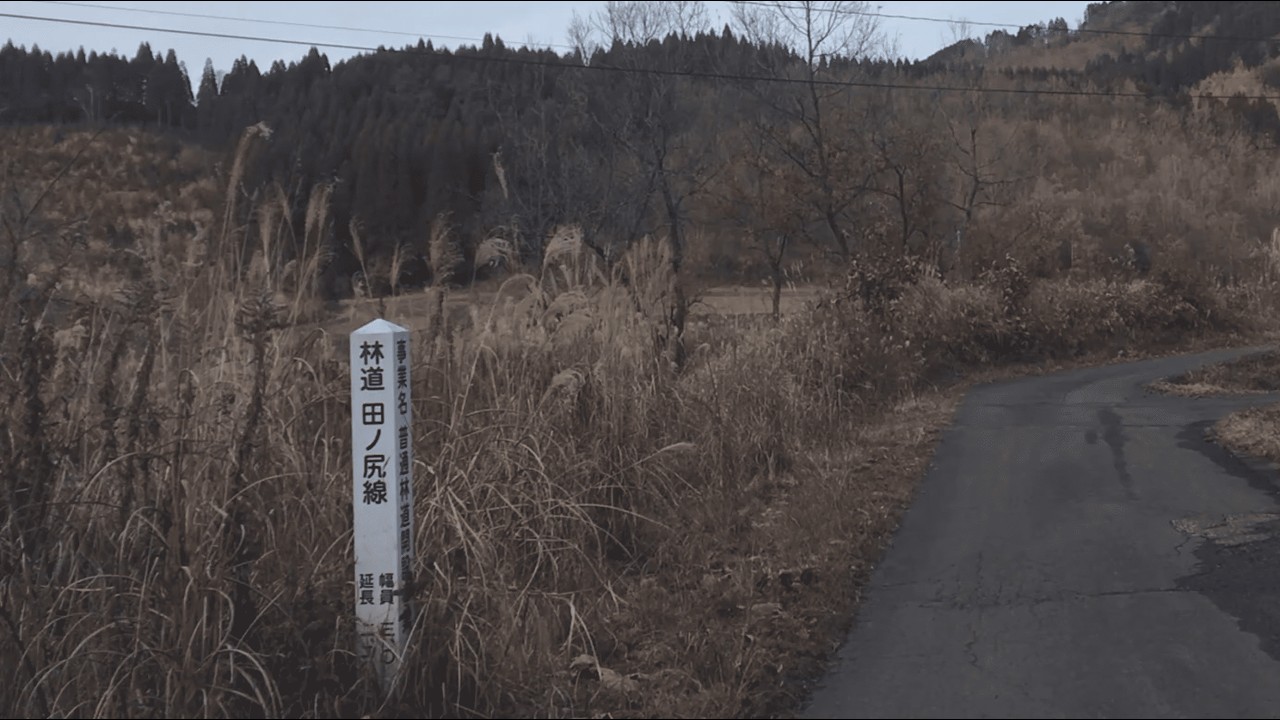 【デリカミニで行く】大分県 林道 田ノ尻線（行き止まり）