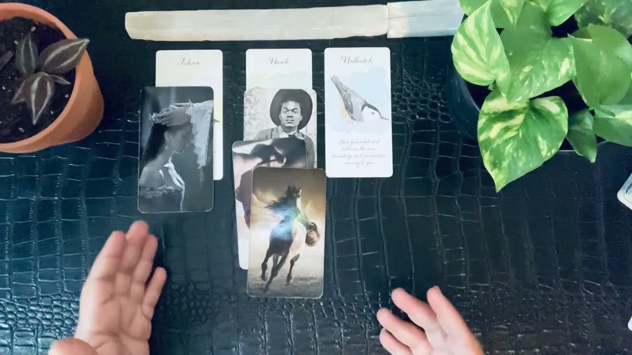 Gemini ♊️: People want what you have, but not what it took.  Divine Protection. ⚔️ 🧿