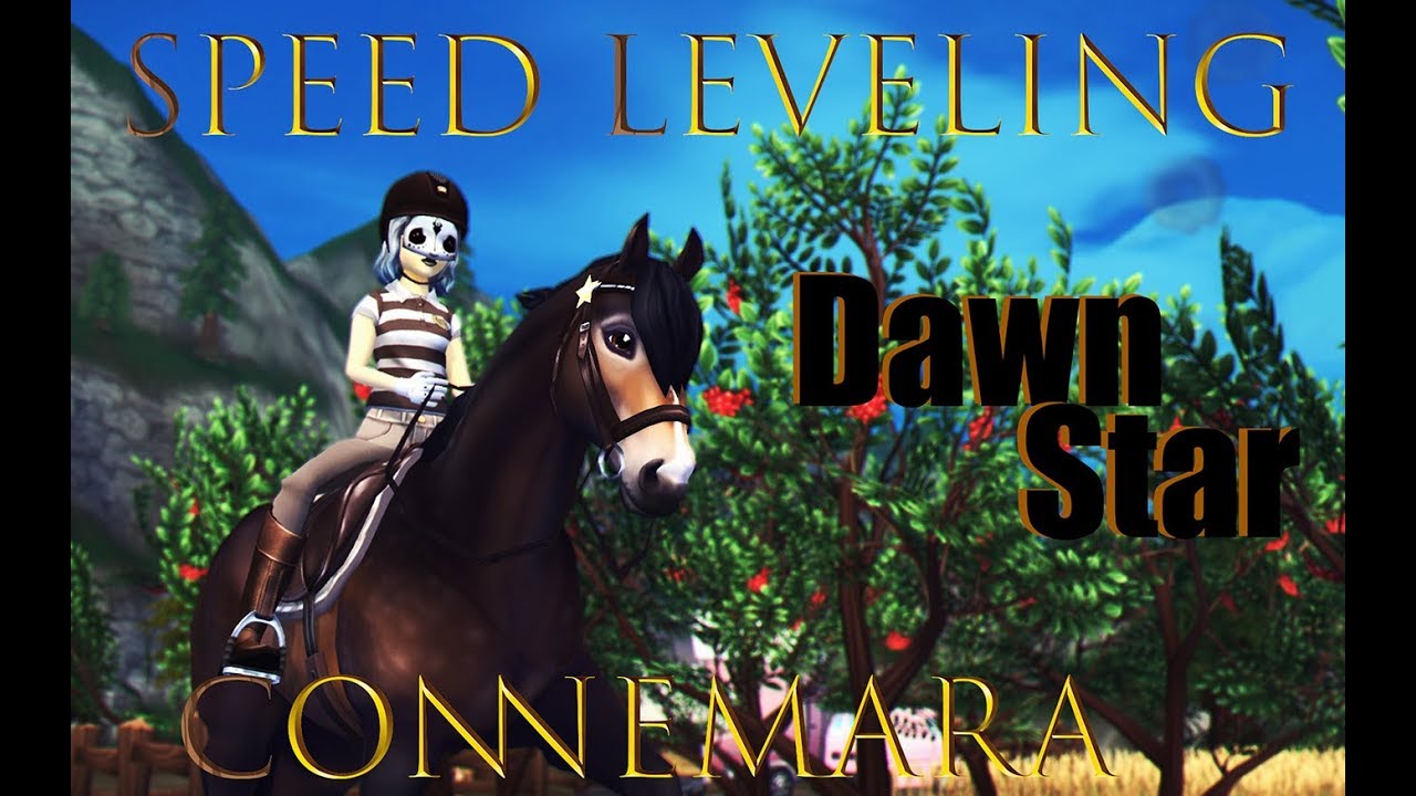 [SSO] Speed Leveling - Brown Connemara