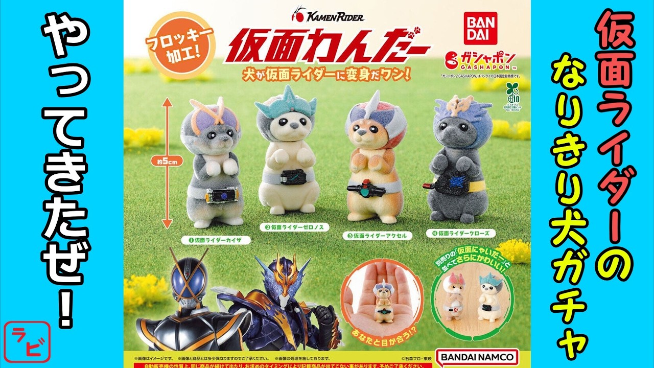 【ガチャガチャ】ふわカワわんちゃんが2号ライダーに変身！仮面わんだーが新登場！【開封レビュー】