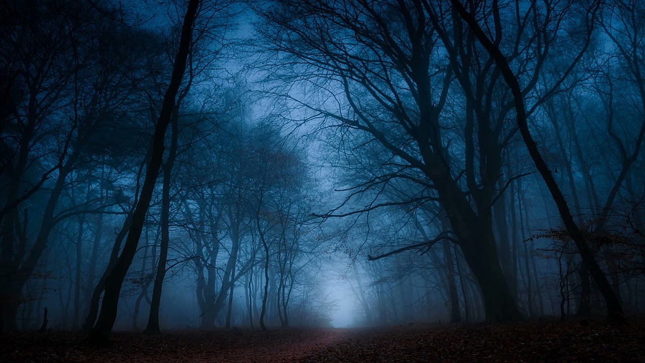 Woods of Desolation - Torn Beyond Reason