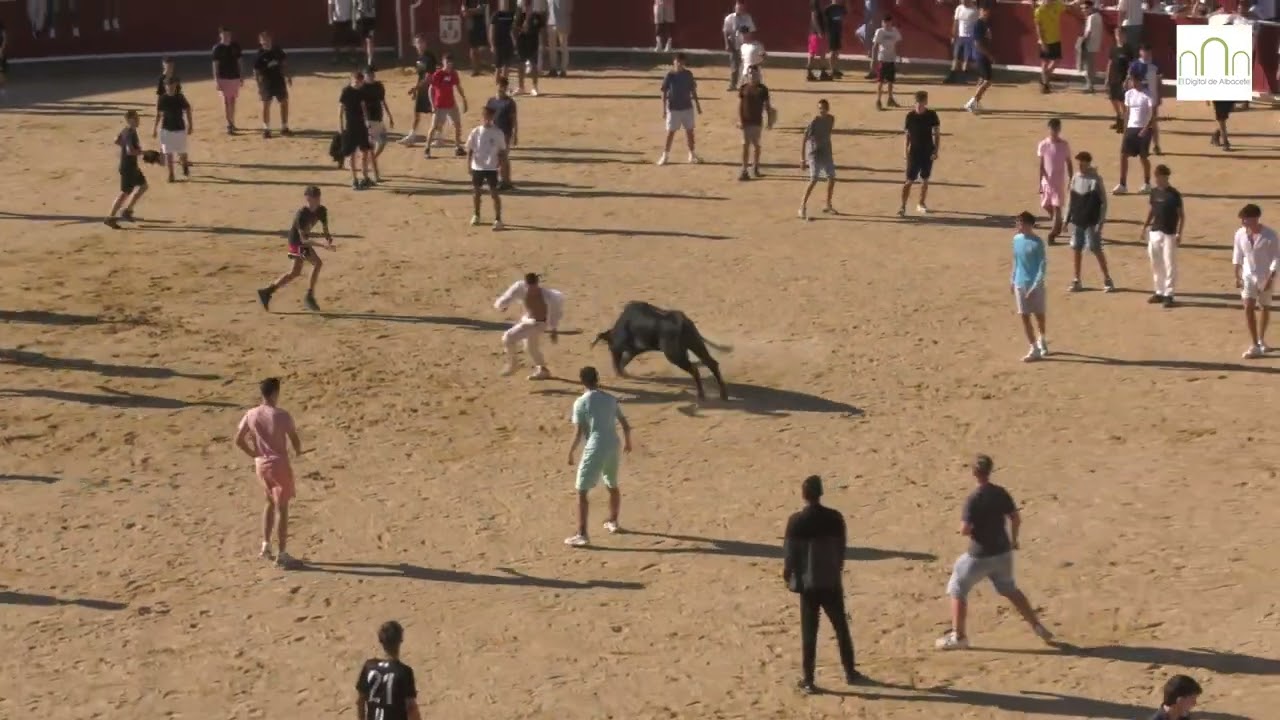 Vaquillas Feria de Albacete 2025, 14 de septiembre