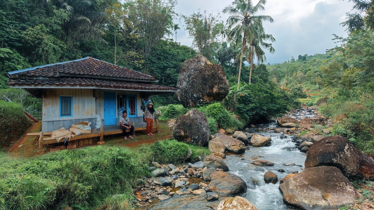 Bikin Betah.. Tinggal Di Rumah Kayu Tengah Sawah Pinggir Sungai Di Kelilingi Hutan