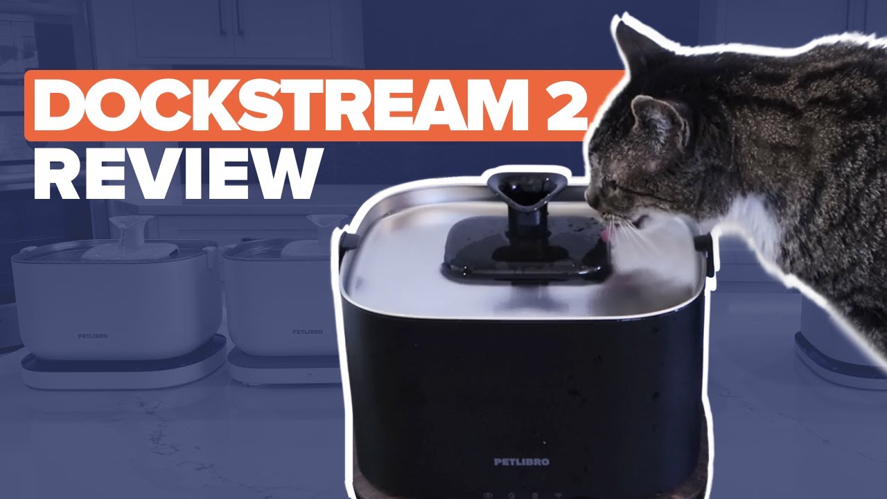 Petlibro Dockstream 2 Review: The Best Cat Water Fountain Yet?