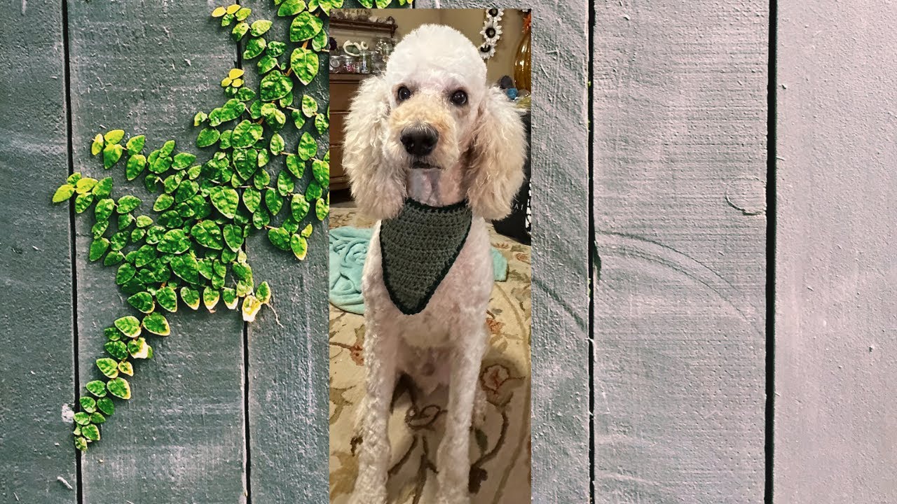 EASY, FUN DOG BANDANA/LEFT HANDED