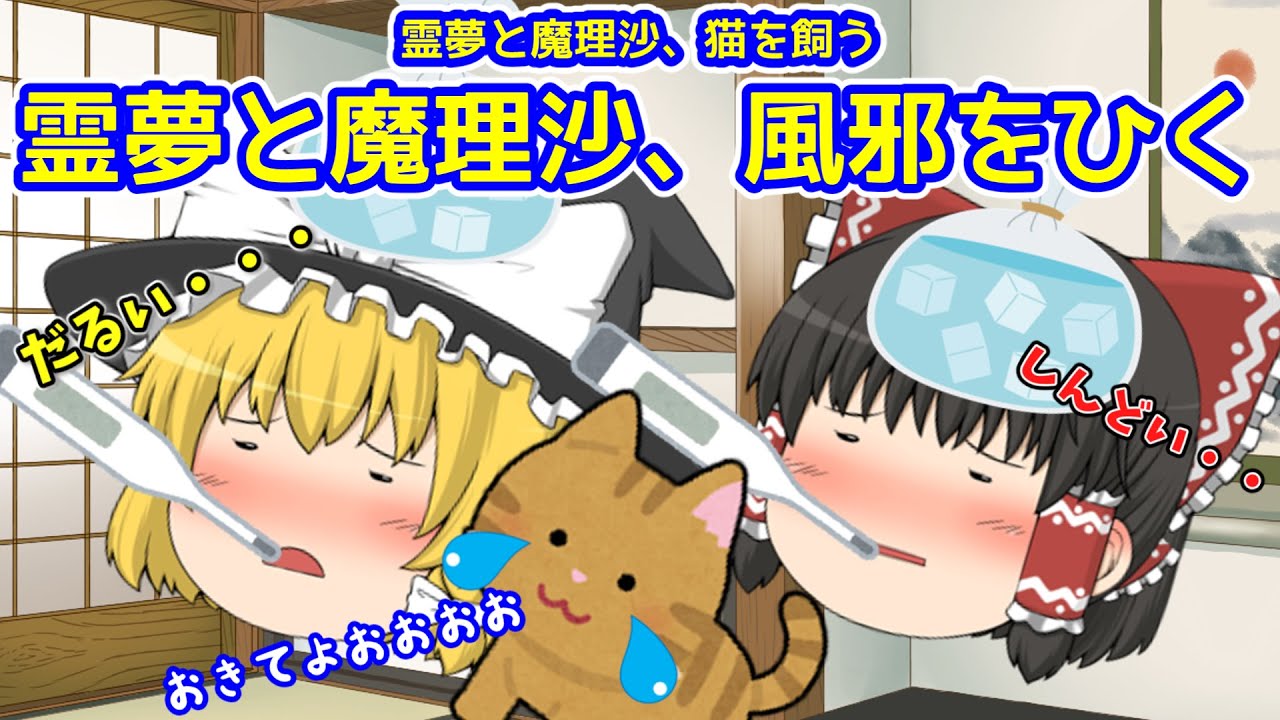 【ゆっくり茶番】霊夢も魔理沙も風邪ひいた・・・【vol 24】