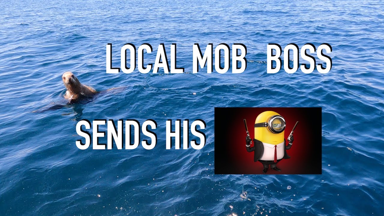 MOB BOSS SHUTS DOWN BITE!
