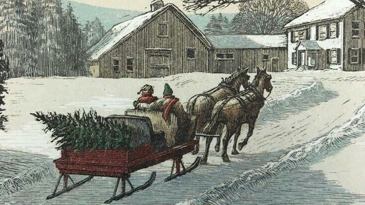 December snow and a christmas tree farm