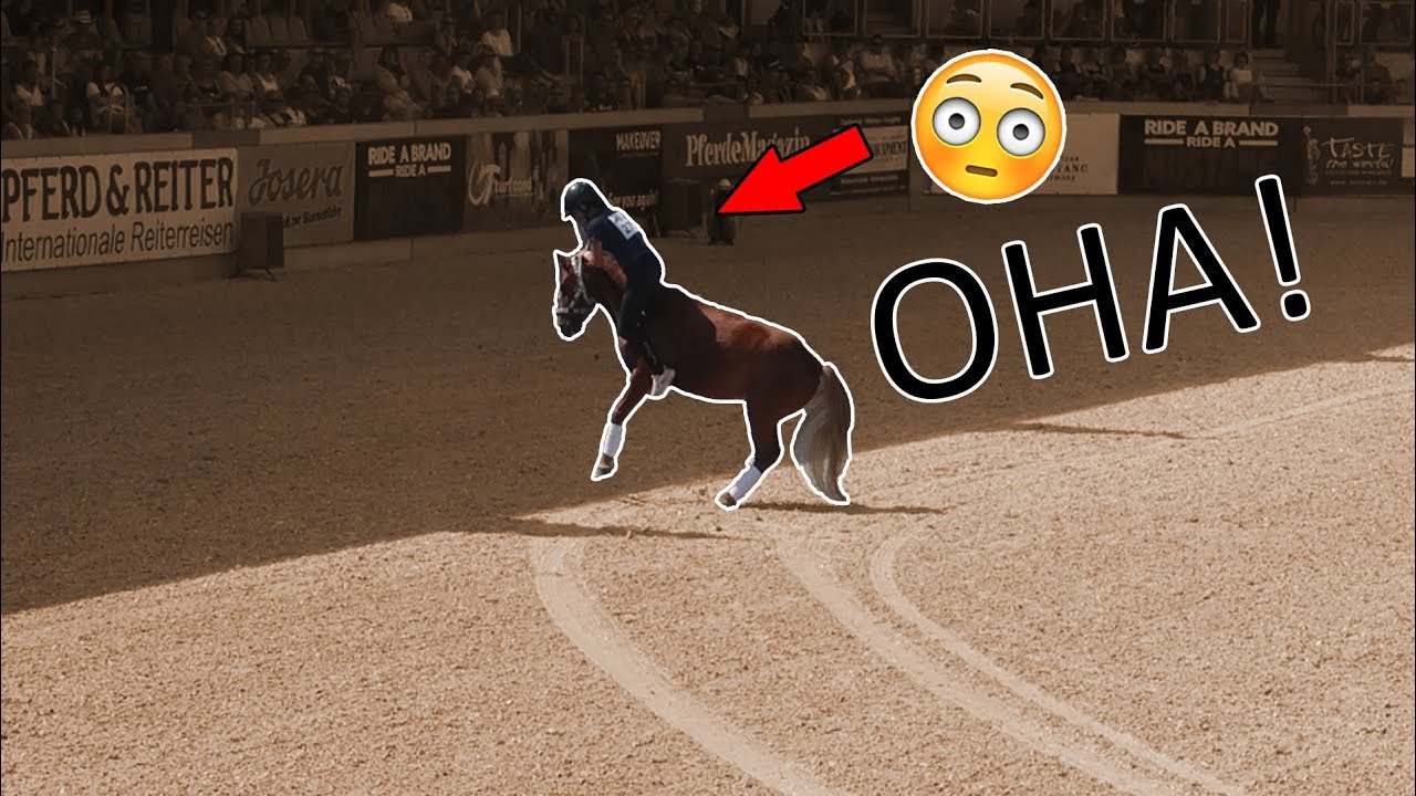 Fliegt Julia im Finale vom Pferd? 😳 | Mein Mustang Makeover 2019 🐴 | Marina und die Ponys