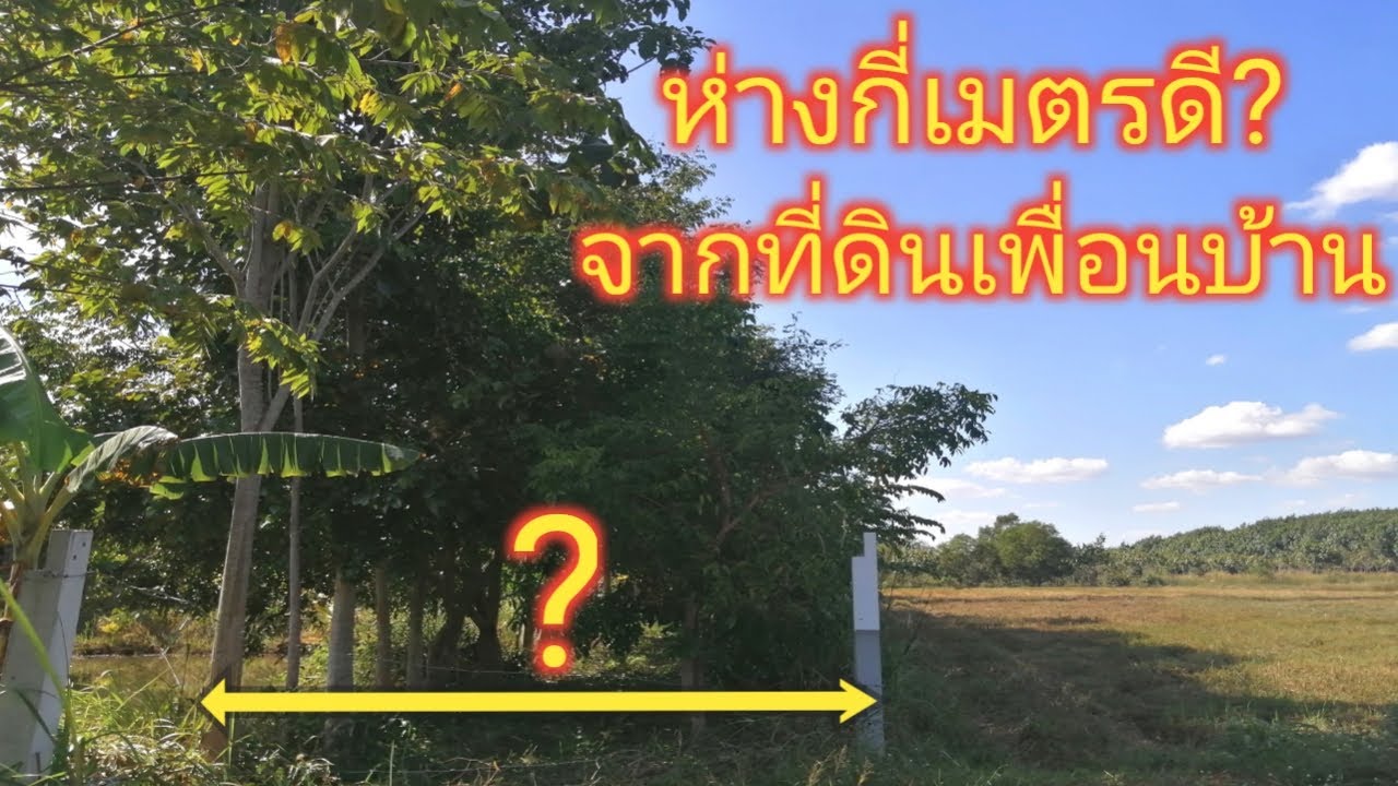 ที่ดินข้างเคียงทำนาอยากปลูกไม้ป่าต้องปลูกห่างจากริมแดนกี่เมตร?และความผิดพลาดของผมเองว่าเป็นอย่างไร