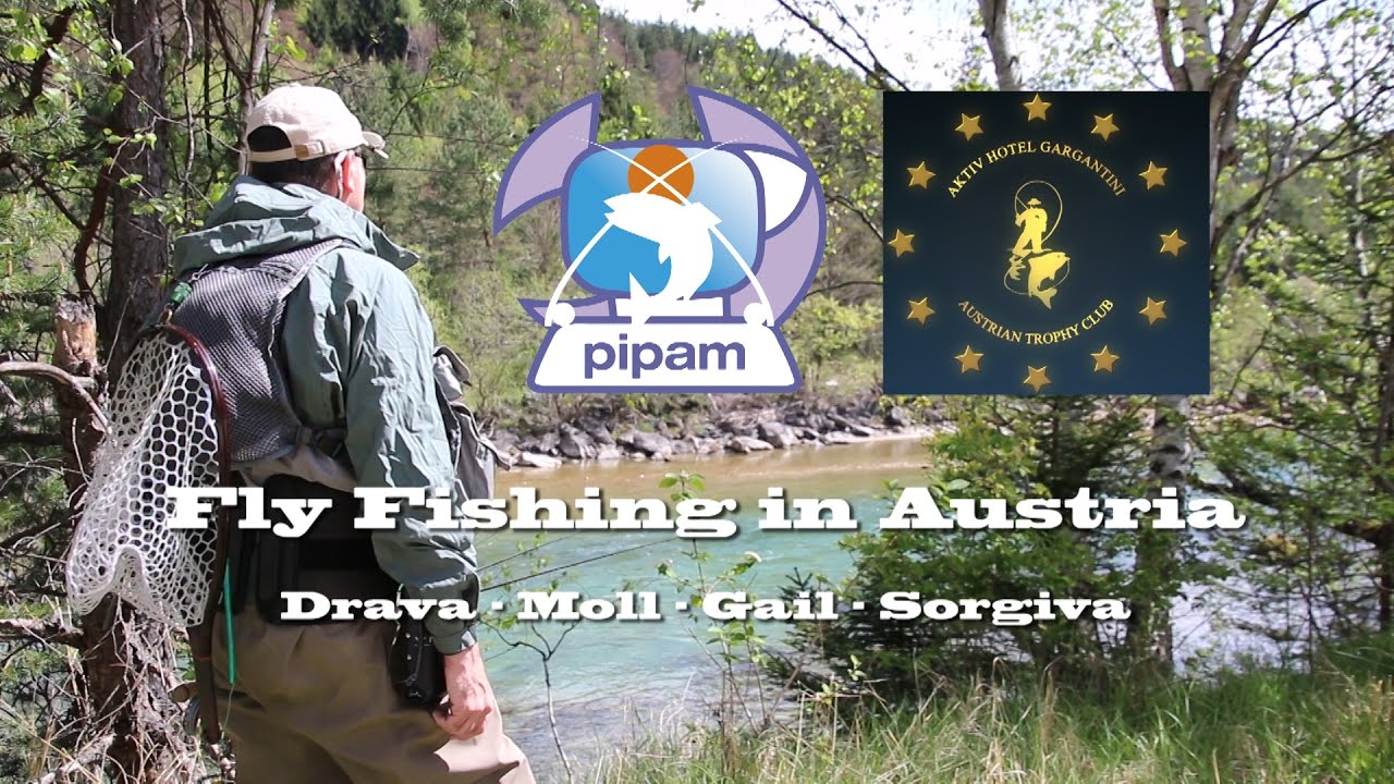 Fly fishing in Austria Pesca a mosca secca di trote temoli salmerini Gail Moll Drava Pipam