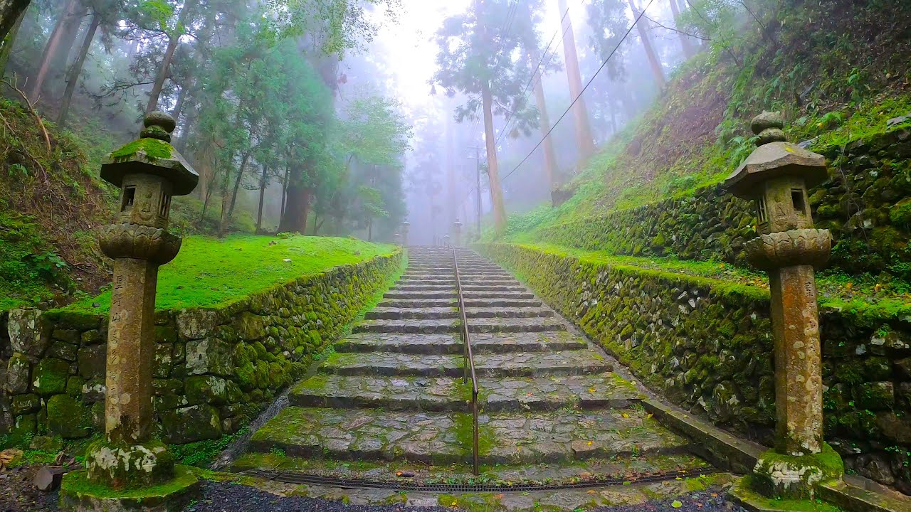 Misty Forest in Kyoto, Enryakuji Temple - 4K