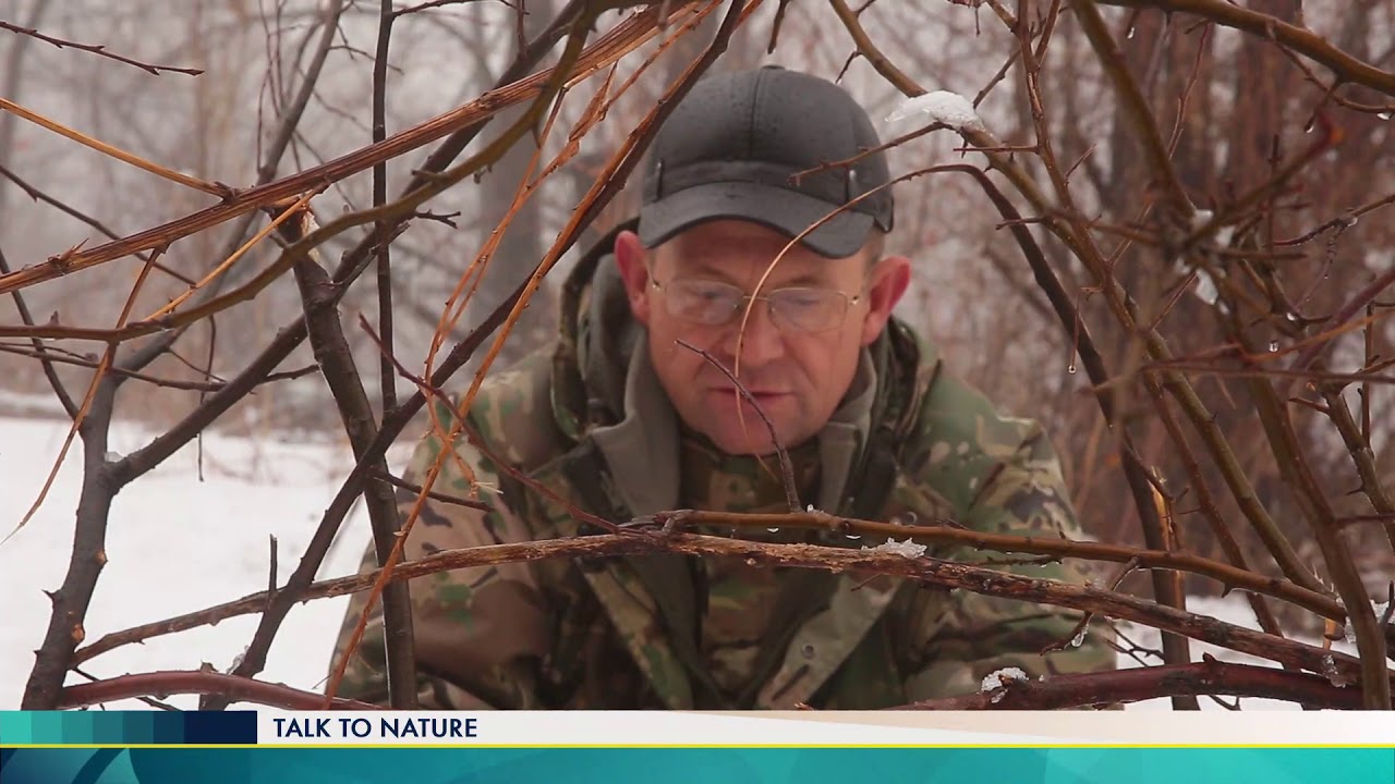 Talk to nature №1. Самые полезные птицы садов