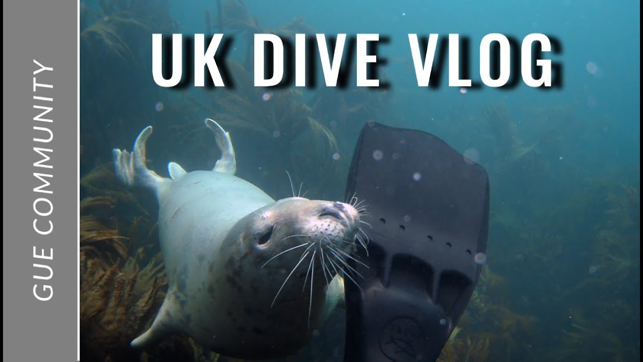Scuba Diving Lundy Island - UK Dive Vlog