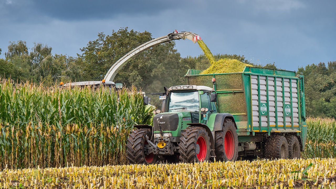 Claas Jaguar 940 eats 10 rows of maize! / Chopping corn by Paul Lüpken Lohnunternehmen / 2021