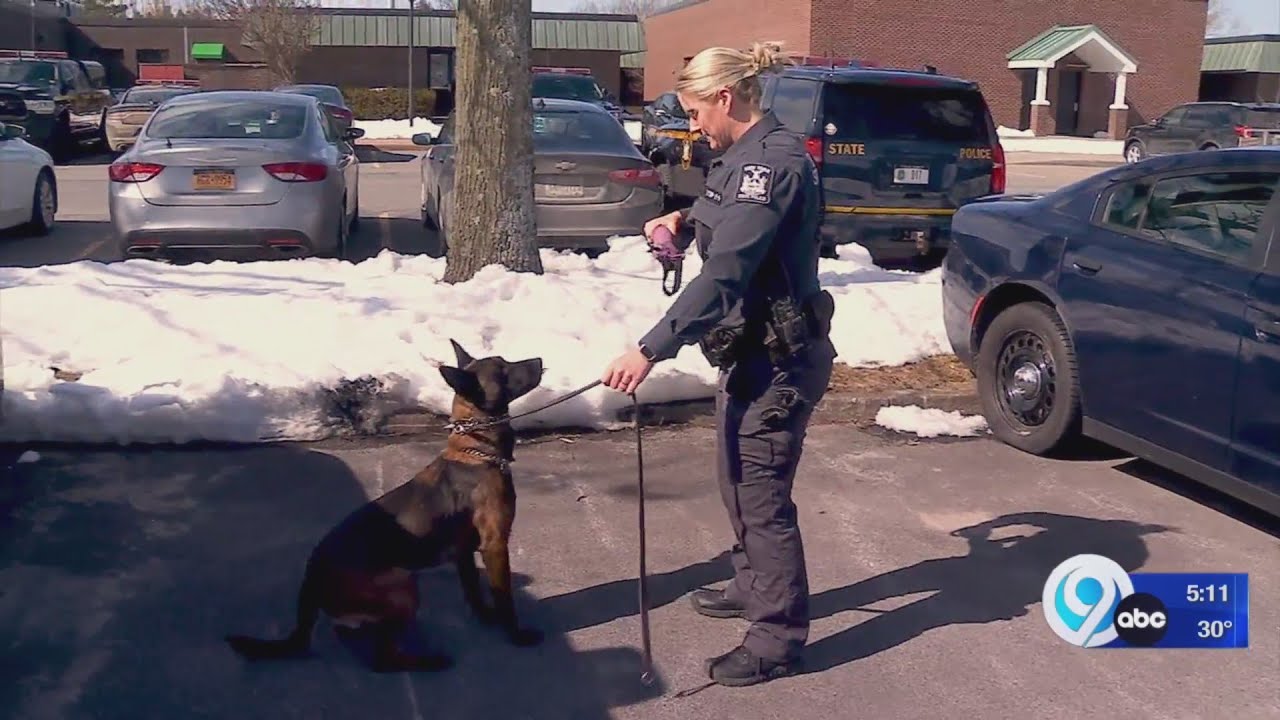 New York State Police commits to recruiting more female troopers