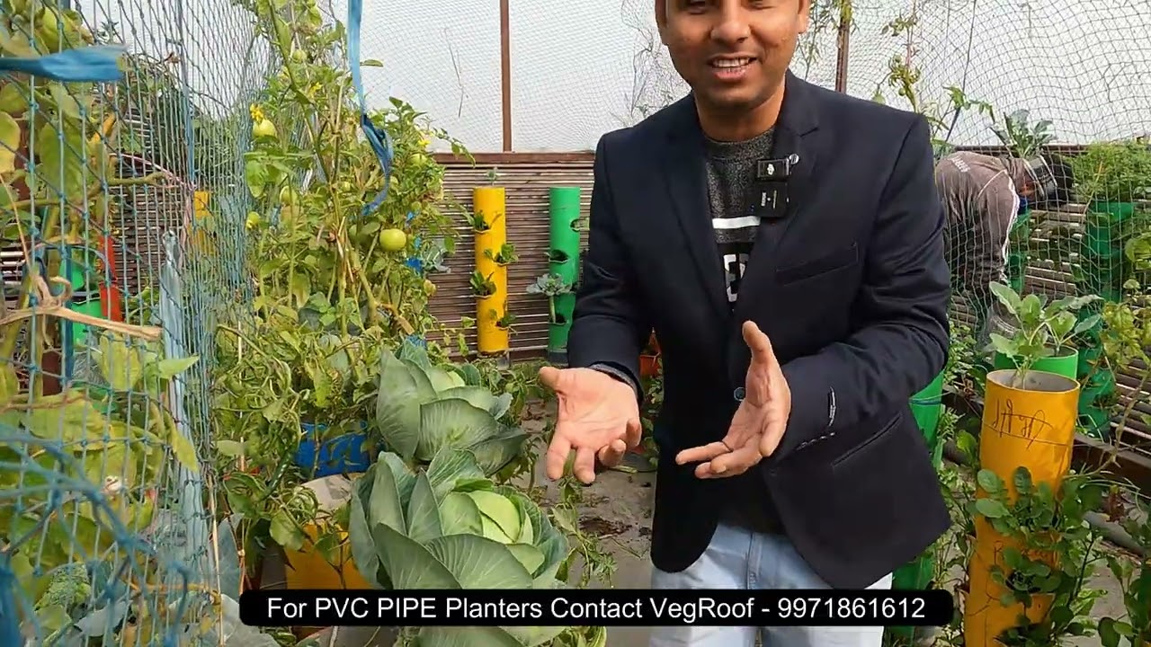 PVC PIPE Planters Contact VegRoof