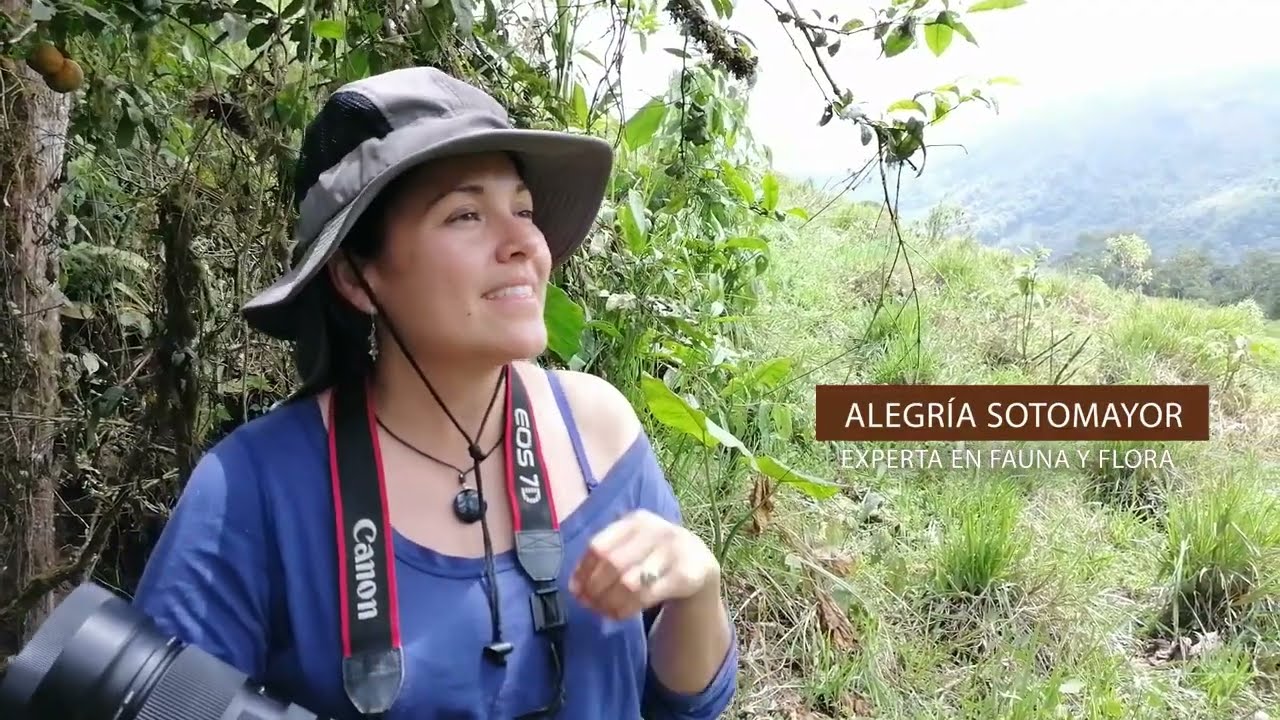MALQUI-MACHAY, CULTO AL AGUA