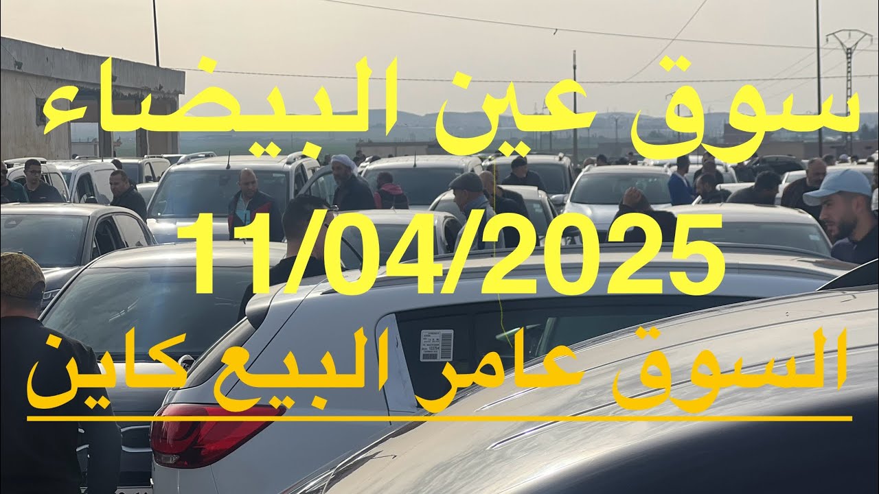 أسعار السيارات من سوق بئر وناس عين البيضاء ولاية أم البواقي ليوم الجمعة 11/04/2025