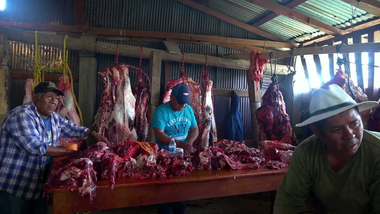 PIMERA PARTE CARRIZAL 2025