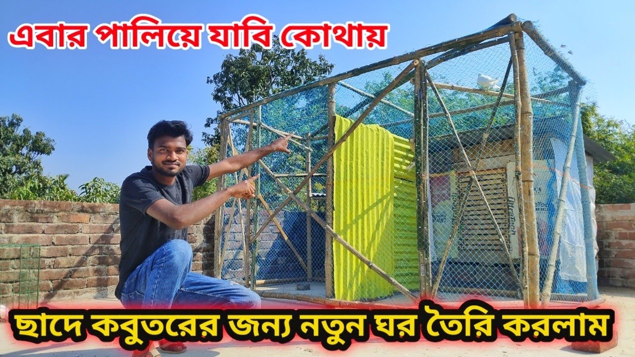 নিজের হাতে কবুতরের ঘর তৈরি করলাম 🏡🕊😍 #pigeon #viralvideo 