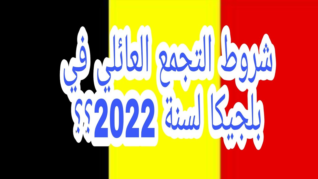القانون الجديد ,ماهو مبلغ الراتب الذي يجب التوفر عليه🤔 تجنب هذه الأشياء....لتحصل على رد بالقبول .