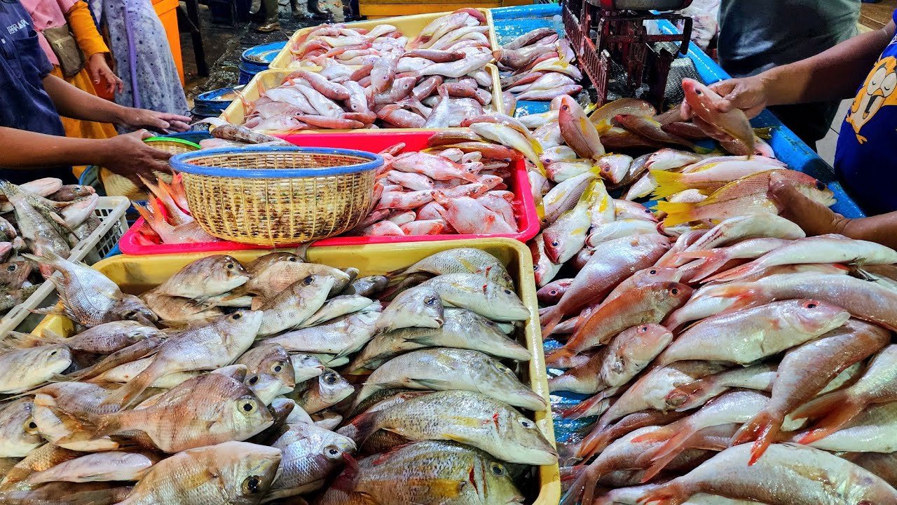 Belanja Ikan di Pasar Pabean Surabaya, Mei 2025.